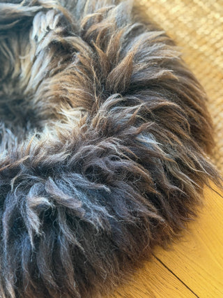 Sheep Donut brown-grey fur details