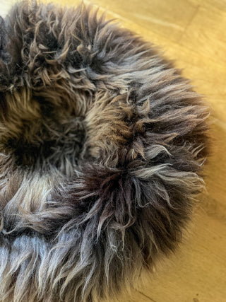 Sheep Donut brown-grey close-up