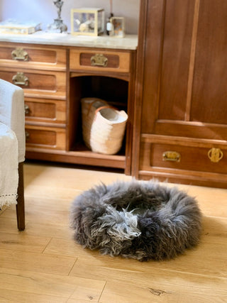 sheep donut Pebble in front of wardrobe