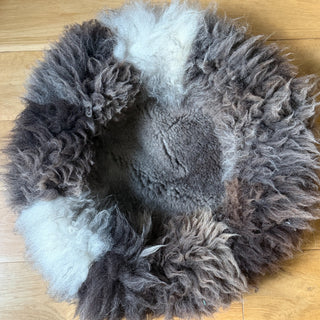 close up of sheep donut grey-brown