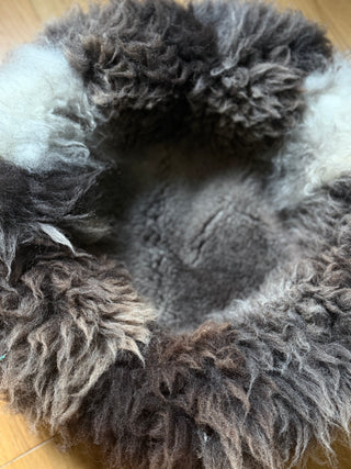 close up of sheep donut fur