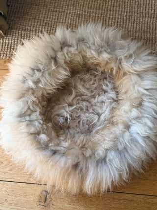 Sheep Donut close up