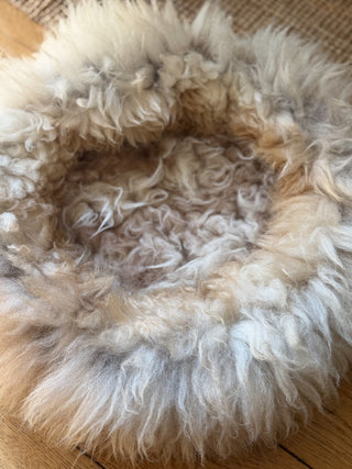 Sheep Donut fur detail