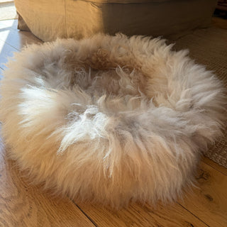 Sheep Donut close up