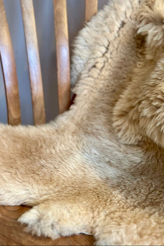 sheepskin in colour champagner on wooden chair