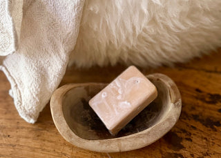 soap and cloth for spot cleaning donut