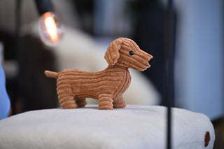 dachshund toy with light bulb