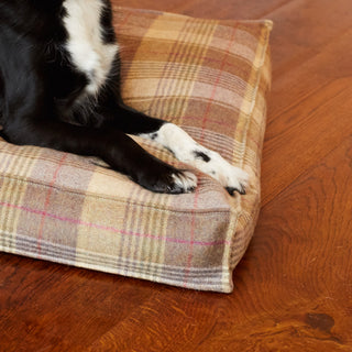 corner of the dog bed with paws of a springer spaniel 
