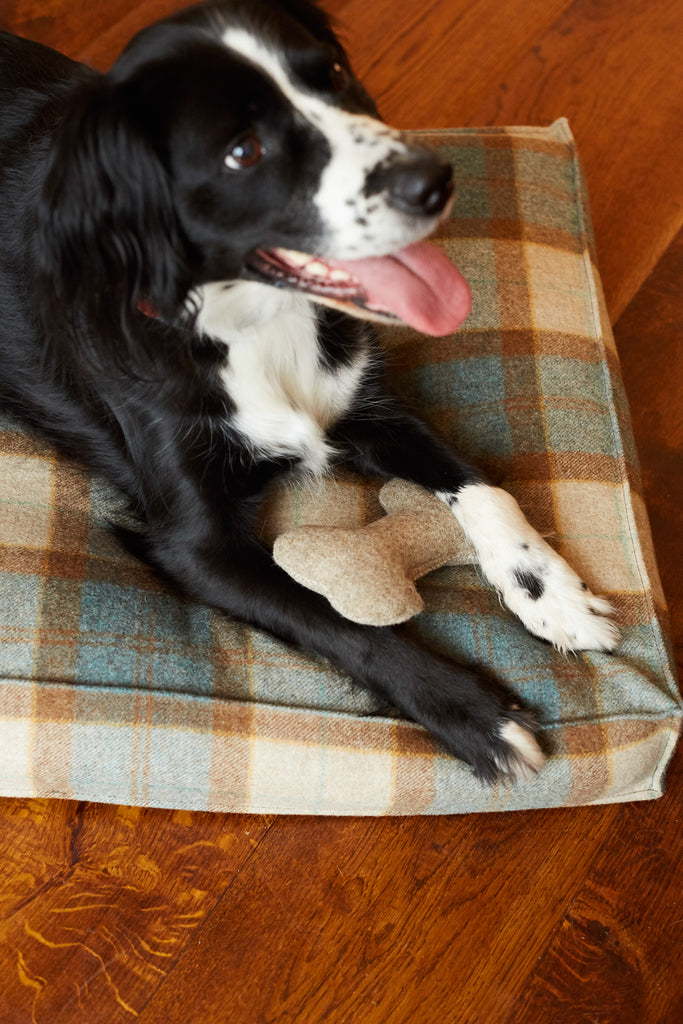 Black white Springer Spaniel lying on Kingfisher Tweed Bed with toy bone