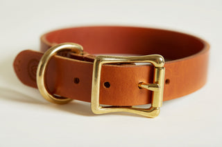 Halsband CLASSIC COGNAC
