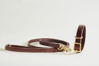 Dog Lead CLASSIC CHESTNUT