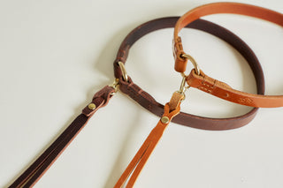 Halsband TAG CHESTNUT 