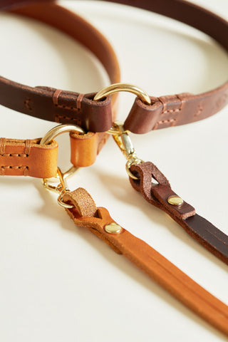 Halsband TAG CHESTNUT 