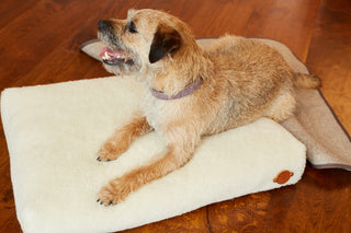 Hundebett SHERPA