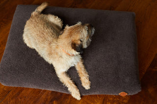 Hundebett SHERPA