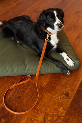 Dog Lead CLASSIC COGNAC