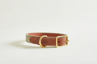 dog collar in tweed colour Heather