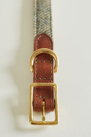 detail of dog collar brass buckle