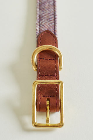 detail of dog collar Hollyhock