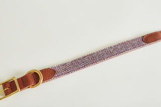 detail of dog collar showing seam, brass accossoires and leather